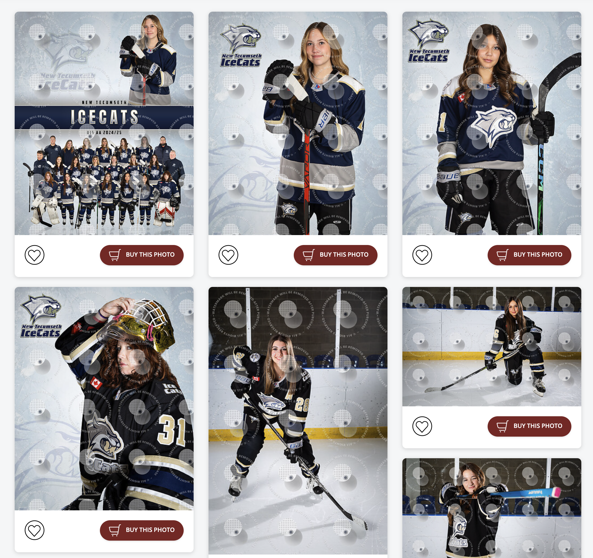 Minor league hockey portrait